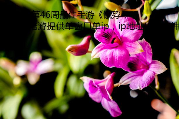 202446Ρ裺ĩǧСʵ