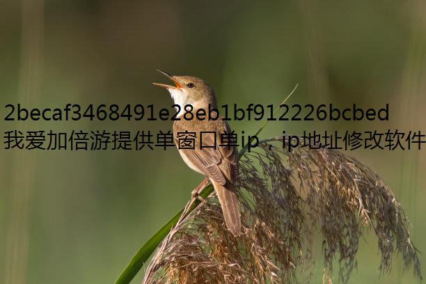 3ǸʲôϷ
