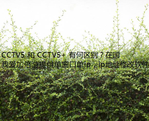 CCTV5  CCTV5+ кڹοֱ