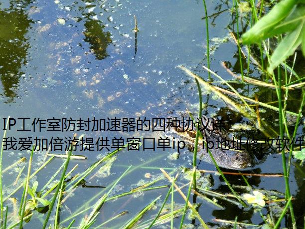 IP工作室防封加速器的四种协议详解!