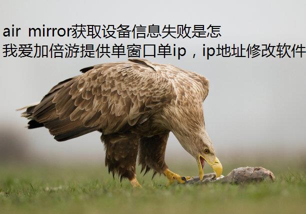 air mirrorȡ豸Ϣʧô£