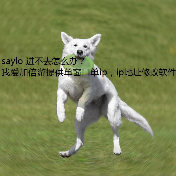 saylo ȥô죿