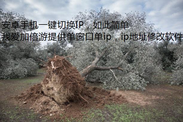 ׿ֻһлIP˼