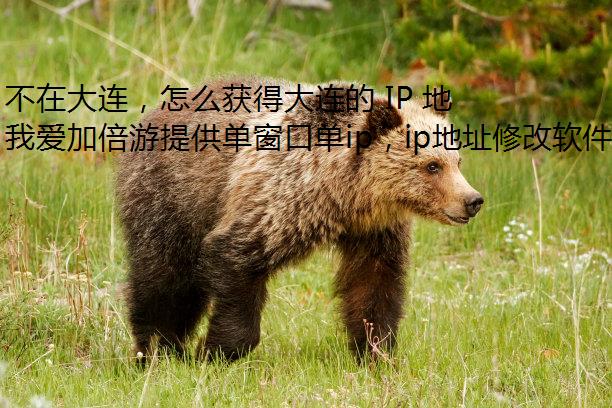 ڴôô IP ַ