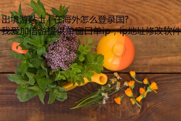ʿ | ںô¼վ