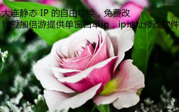 ̬ IP лѸipʵ֣