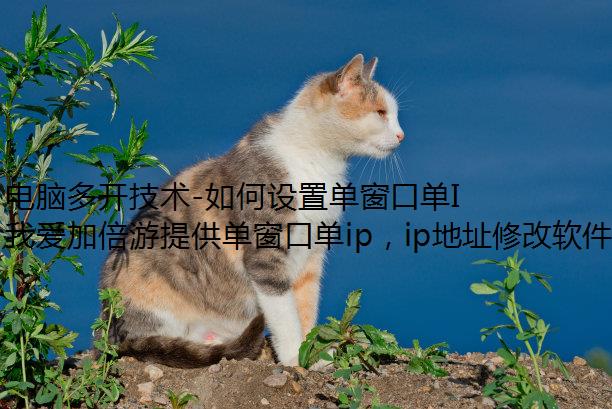 Զ࿪-õڵIP,രIPڶIP