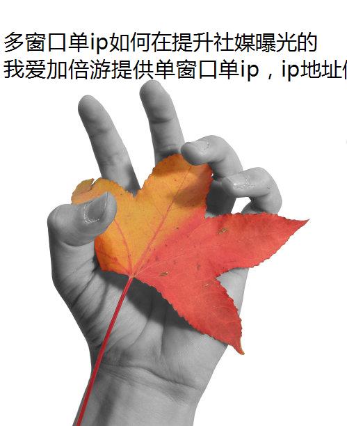 രڵipýعͬʱ˺Űȫ