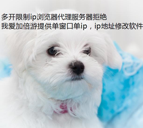 ࿪ipܾô?ַٽ!