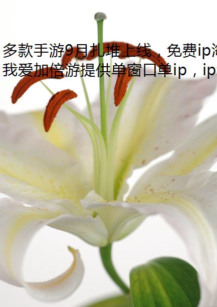 9ߣip⵳ҲԲһϷ磡