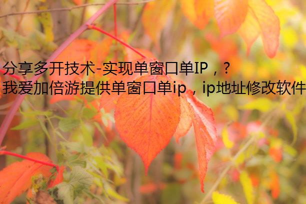 ࿪-ʵֵڵIPരڶͬIPļԶˡ