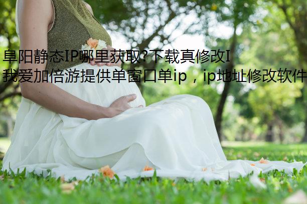 ̬IPȡ?޸IPַget!