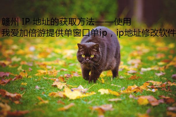  IP ַĻȡʹ