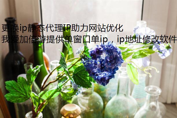 ip̬IPվŻ