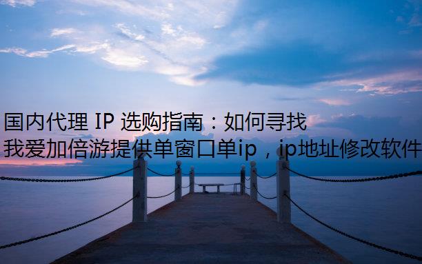 ڴ IP ѡָϣѰҵʵĴ IP