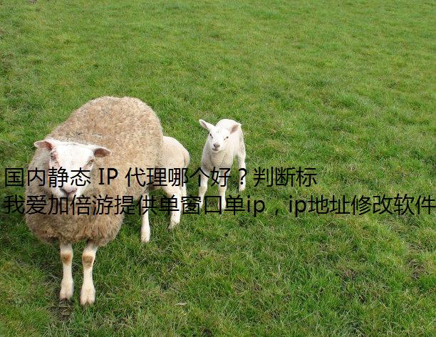 ھ̬ IP ĸãжϱ׼Щ