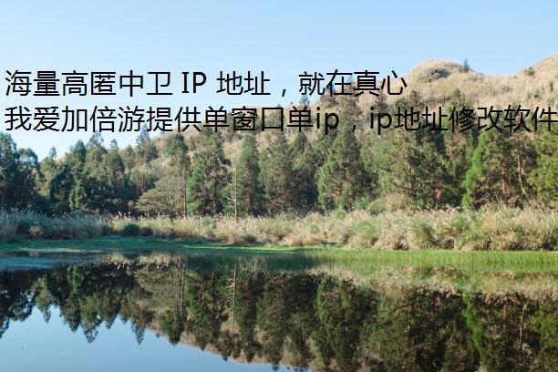  IP ַ