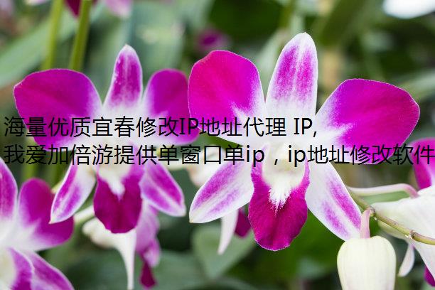˴޸IPַ IP,