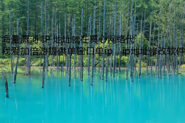 海量漯河 IP 地址就在真心网络代理