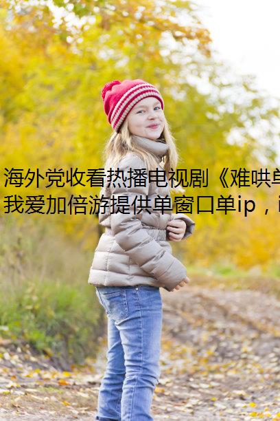 ⵳տȲӾ硶Ѻ嵥ڵIP