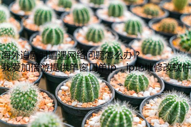 海外追剧时遭遇网络问题怎么办？