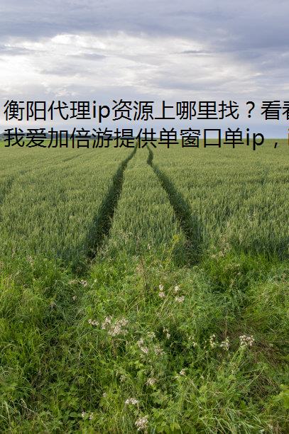 ipԴңľ̬ip