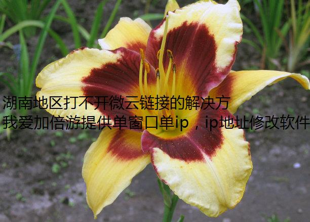 ϵ򲻿΢ӵĽ