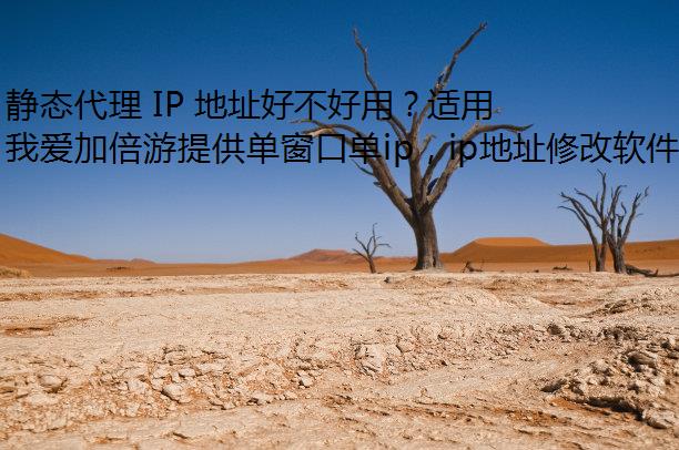 ̬ IP ַòãЩ