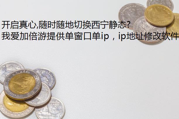,ʱл̬IP!