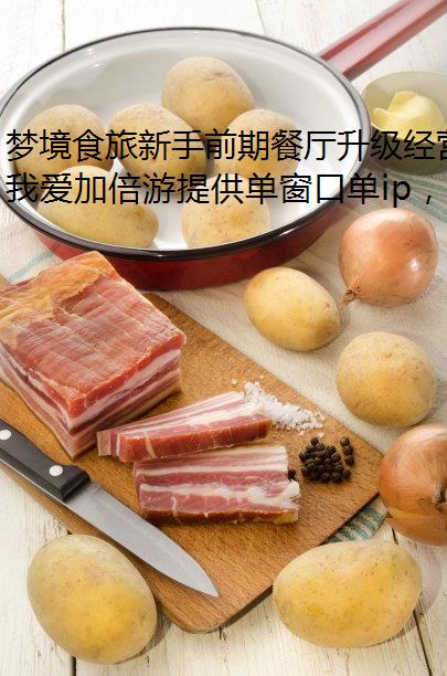 ξʳǰڲӪָ