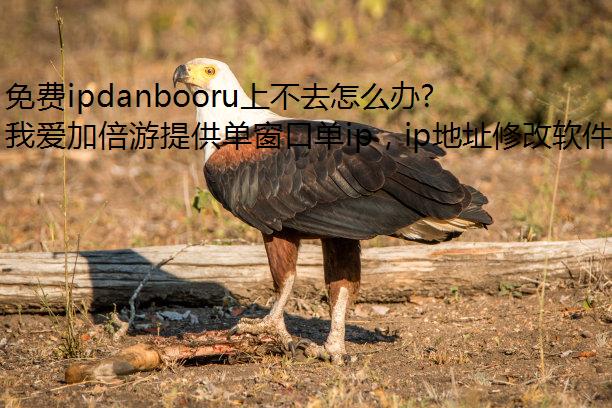 ipdanbooruϲȥô?
