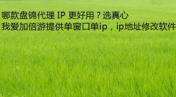 Ŀ̽ IP ãѡĴ