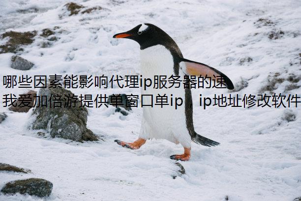 ЩӰipٶȣ