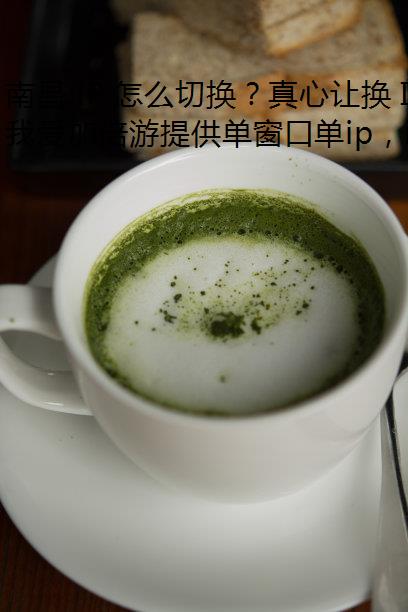 南昌 IP 怎么切换？真心让换 IP 变得简单