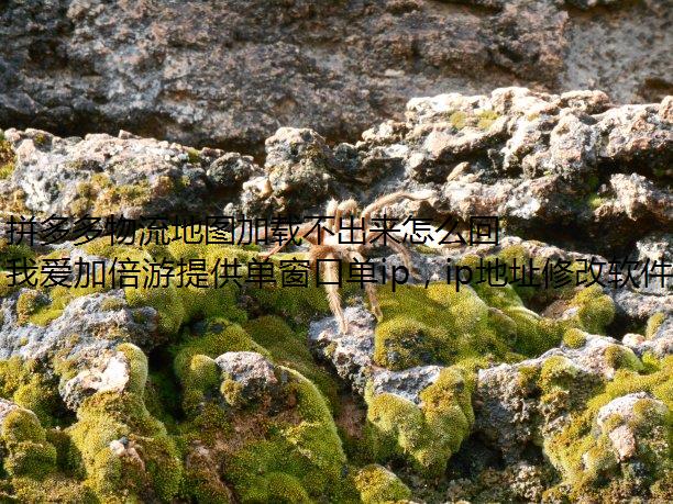 拼多多物流地图加载不出来怎么回事？