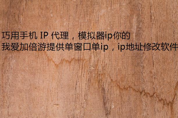 ֻ IP ģip罫˳