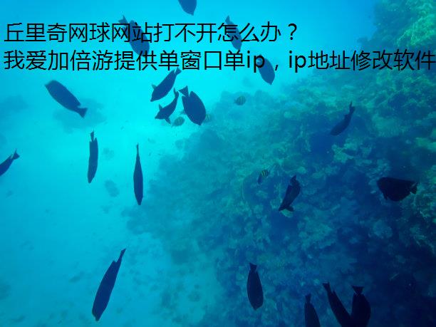 վ򲻿ô죿
