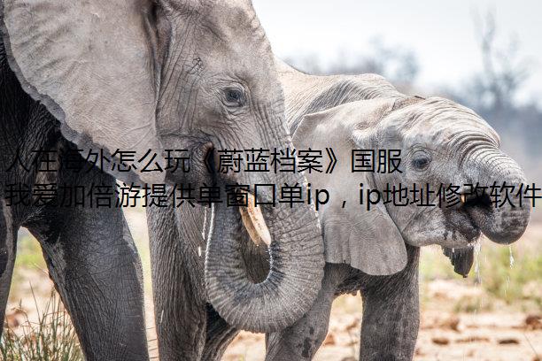 ںô桶ε