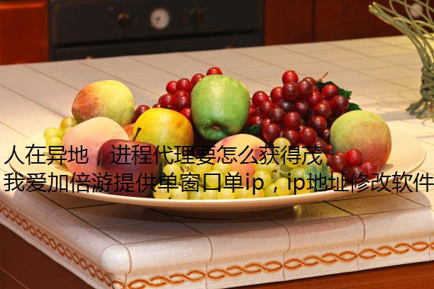 人在异地，进程代理要怎么获得茂名 IP 地址？