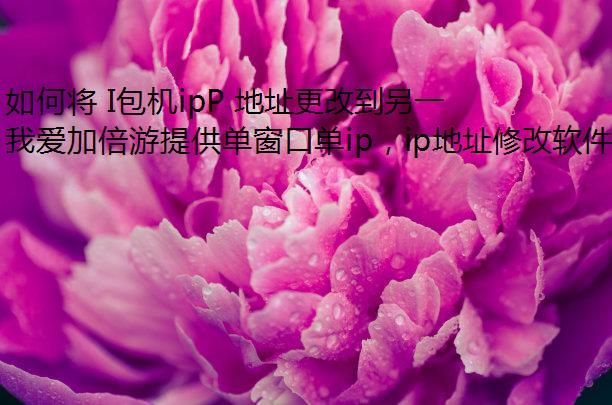 ν IipP ַĵһ?