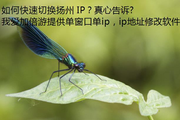 οл IPĸ