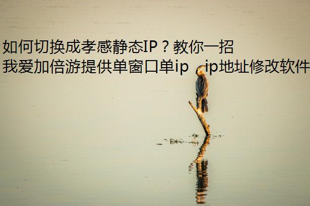 лТо̬IPһ