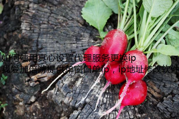 ʹôip޸ĵԵIPַ?