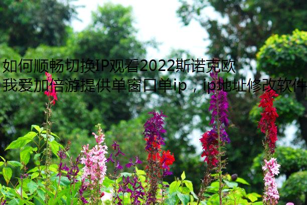 ˳лIPۿ2022˹ŵŷ޴ʦֱ?