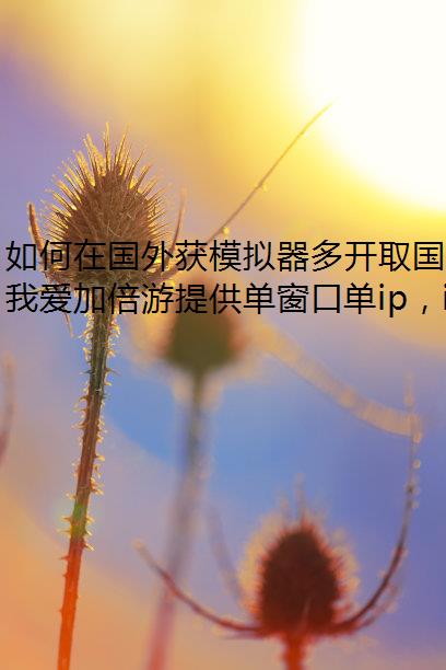 ڹģ࿪ȡ IP ַ?