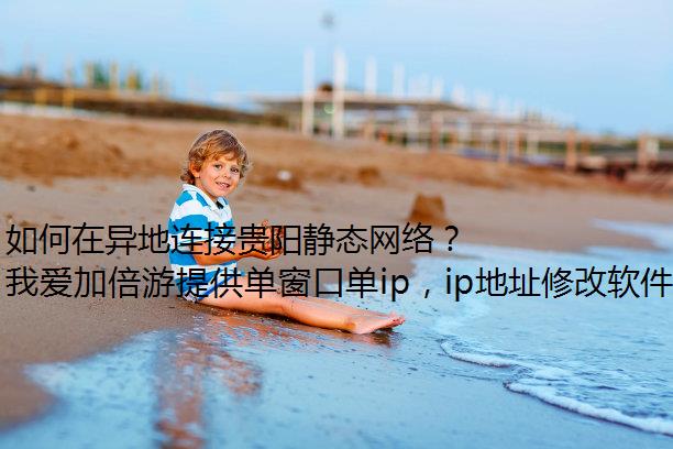 ӹ̬磿