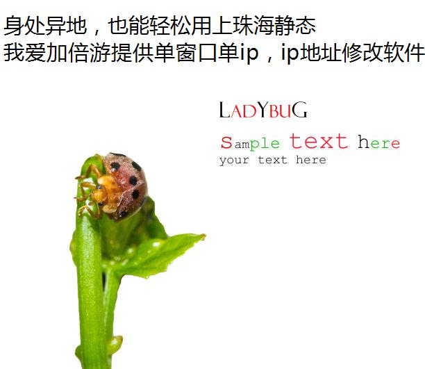 أҲ麣̬ip