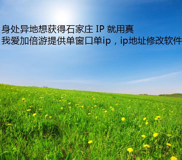 ʯׯ IP 