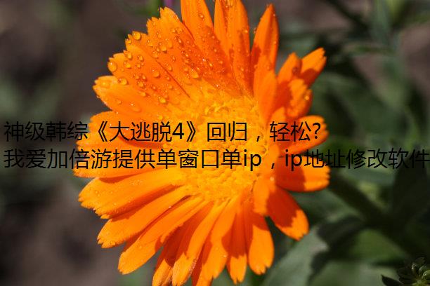 神级韩综《大逃脱4》回归，轻松看中字版！