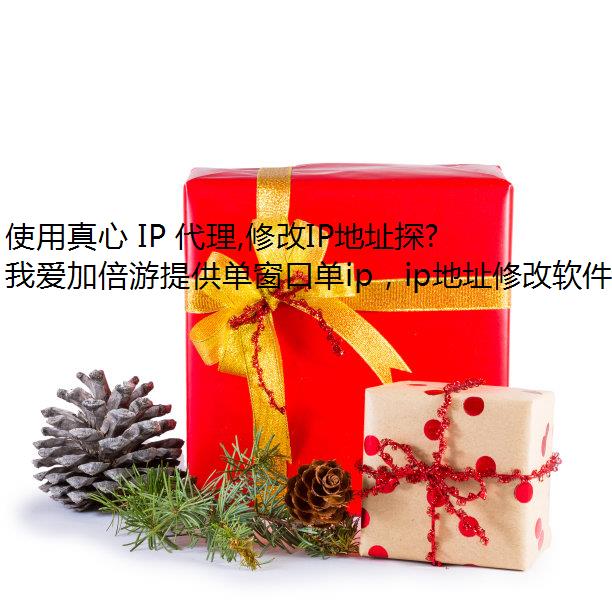 ʹ IP ,޸IPַ̽޿
